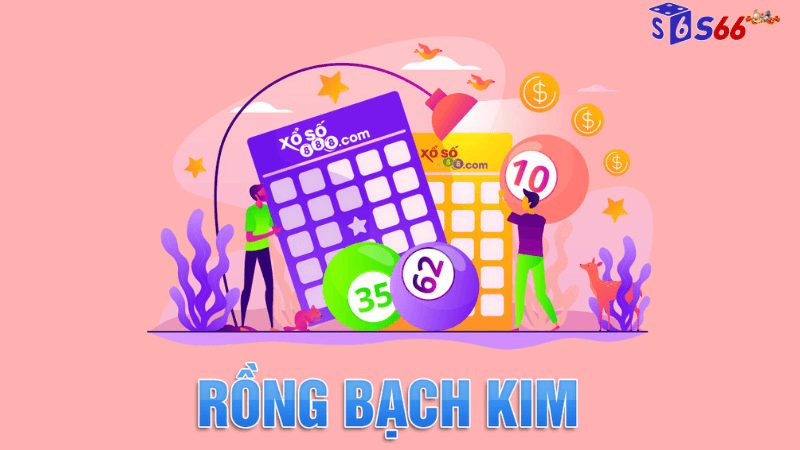 Sơ lược về dữ liệu soi cầu rồng bạch kim tại s66