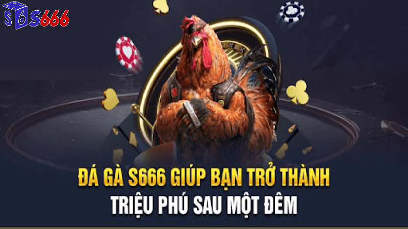 Đá gà s666 trờ thành triệu phú sau một đêm